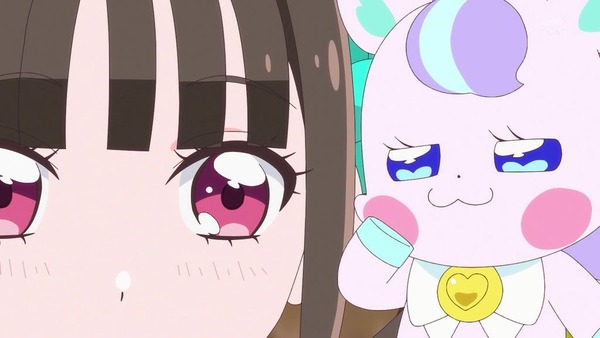 『わんだふるぷりきゅあ! 』第34話…猫集会初参加! ユキのやりたかったこと!