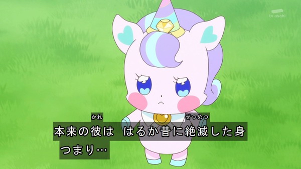 『わんだふるぷりきゅあ! 』第45話…世界中の動物と友達に! トラメとの約束