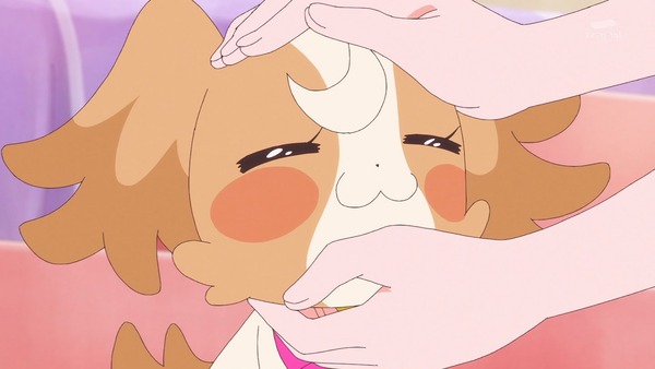 『わんだふるぷりきゅあ! 』第6話…ケンカした二人! 強敵ライオンのガルガル登場!