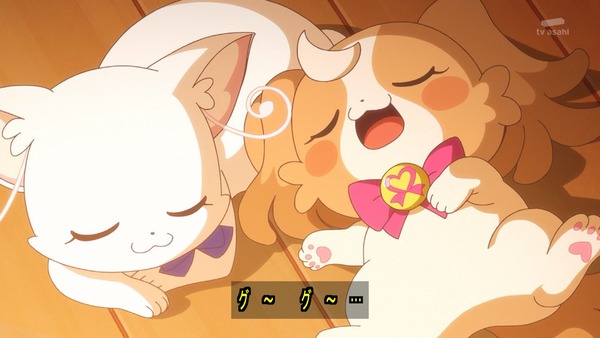 『わんだふるぷりきゅあ! 』第36話…特別なワンダフル! 悟の告白の行方は!?