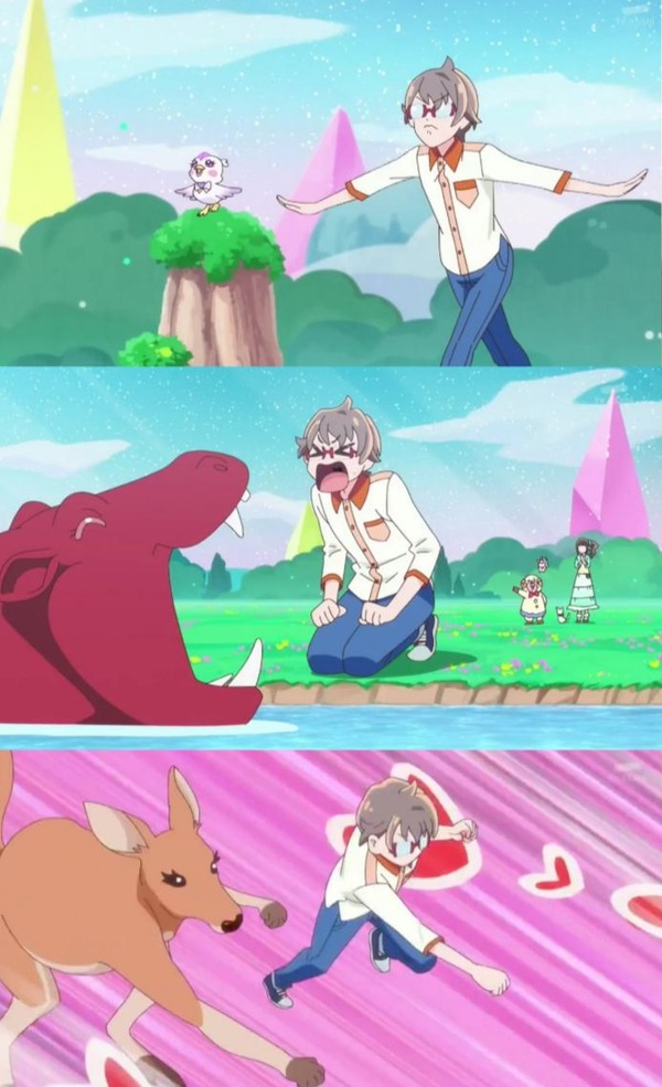 『わんだふるぷりきゅあ！ 』第35話…悟大ピンチ！？ いろはの大好きなケイジくん登場！