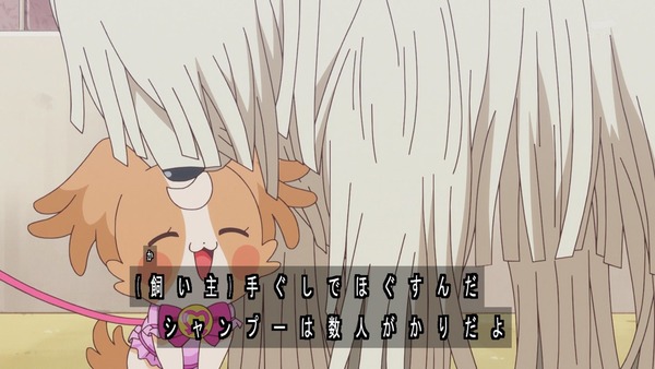 『わんだふるぷりきゅあ! 』第13話…犬組トリオがトロピカってる~!? ニャミーとまゆちゃんは急接近!