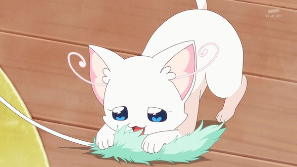 『わんだふるぷりきゅあ! 』第34話…猫集会初参加! ユキのやりたかったこと!