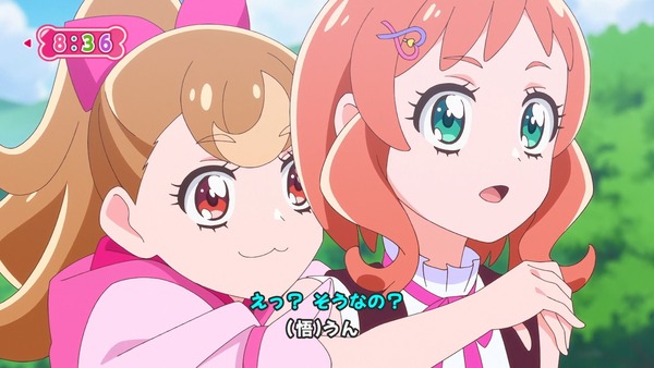 『わんだふるぷりきゅあ！ 』第25話…待ちに待った水着回！ 今週も気ぶりまゆちゃん大活躍！