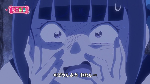 『わんだふるぷりきゅあ！ 』第14話…ユキの病気とまゆのはじめてのお泊り