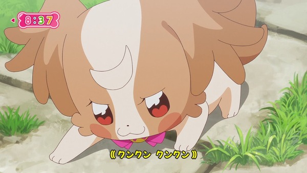 『わんだふるぷりきゅあ! 』第40話…大事件!? いろはとまゆがワンニャンに!