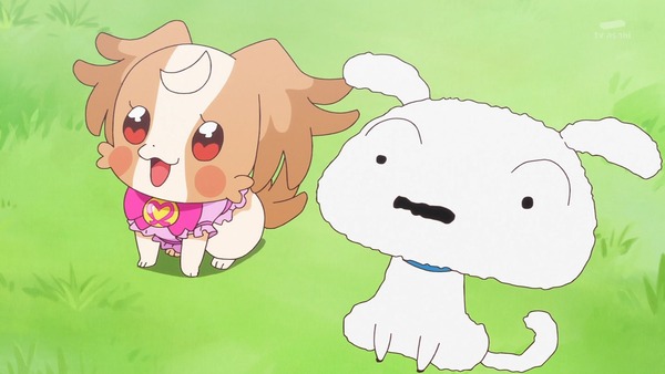 『わんだふるぷりきゅあ!』第16話…こむぎがしゃべれることがバレちゃった! しんちゃん登場のコラボ回!