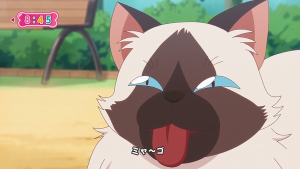 『わんだふるぷりきゅあ! 』第34話…猫集会初参加! ユキのやりたかったこと!