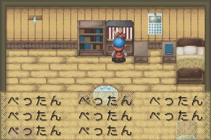ミネラルタウンで暮らす1 しろろんだいありぃ ミネラルタウンで暮らす1 しろろんだいありぃ