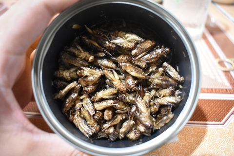 コンケン2018_190211_0125-min