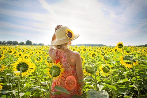 woman-3640935_1920 (1)