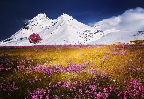 mountains-757731_1280 (1)