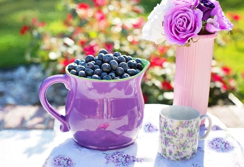 blueberries-864627_1920