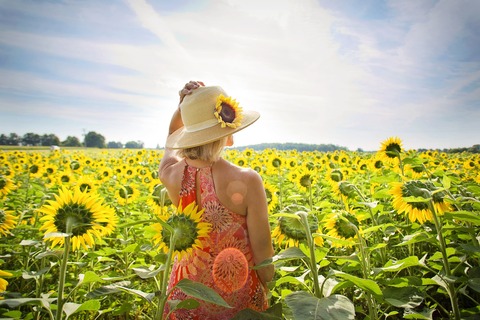 woman-3640935_1920