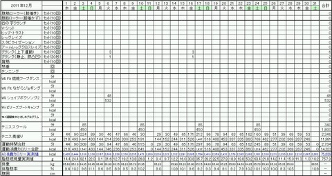 2011年12月の運動量