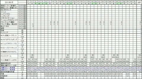 2012年5月の運動量