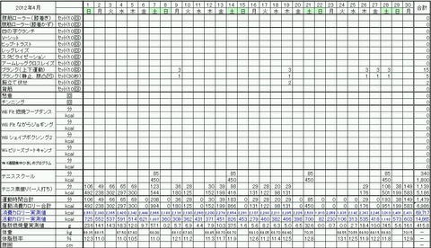 2012年4月の運動量