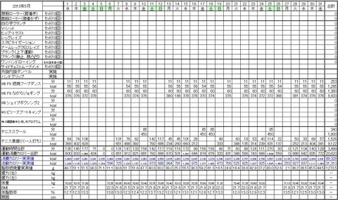 2013年5月の運動量