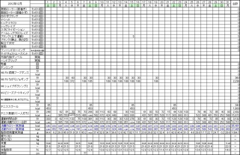 2012年12月の運動量