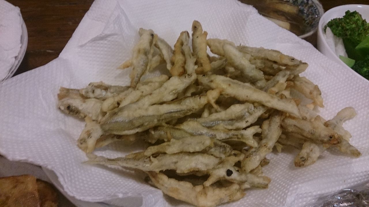 第6釣 明けましてワカサギ るるの海釣り行幸