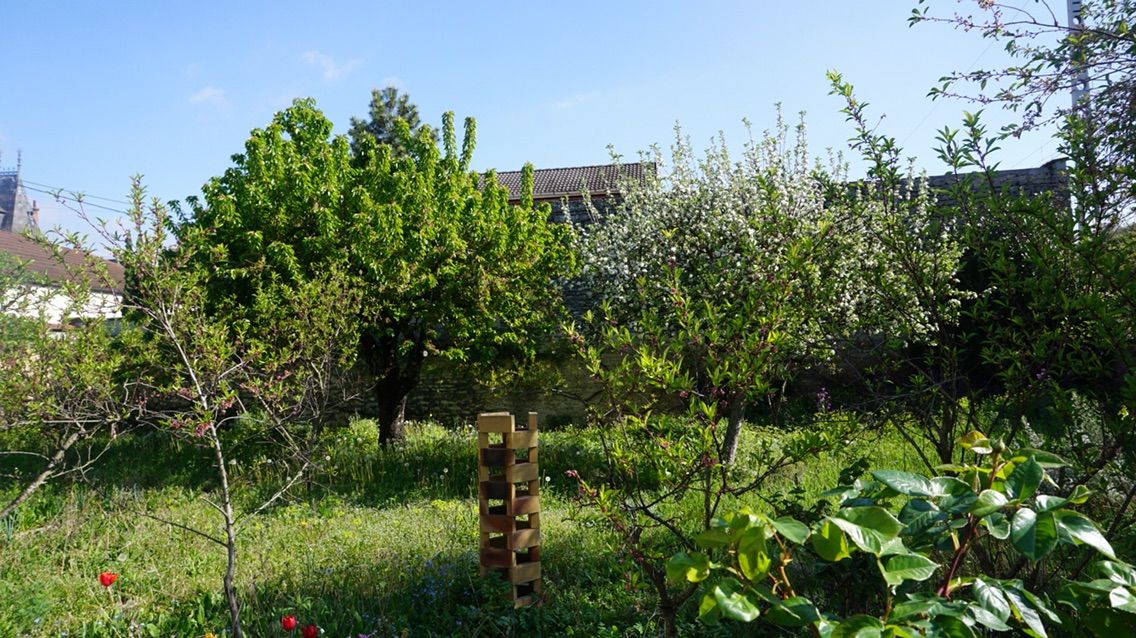 バンクーバーに滞在してます 家庭菜園始めました スイス銀行通訳 接客マン 起業したアメリカ育ちの帰国子女の英語解説ブログ