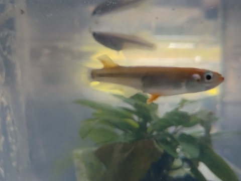 IMG_20250720_151503108