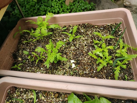 IMG_20250423_135920948