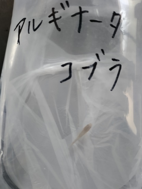 IMG_20250720_151254906