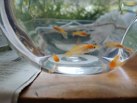 IMG_20250322_160020177