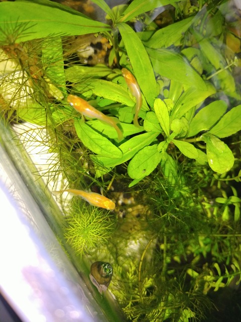 IMG_20250423_135803757