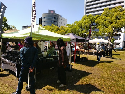 IMG_20250429_135309778