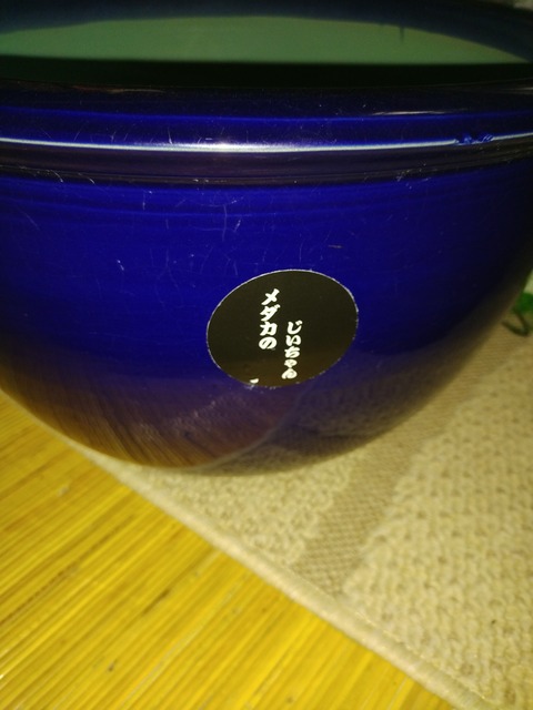 IMG_20250720_151803142