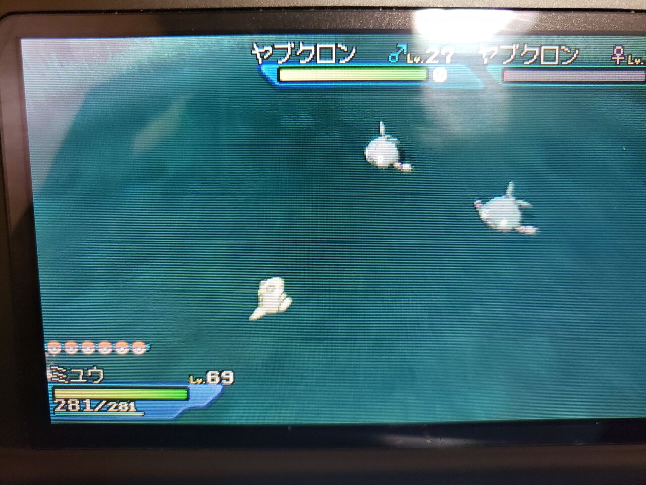 ポケモン色違い日記1 ヤブクロン デッドフールの趣味部屋 ポケモン色違い日記1 ヤブクロン デッドフールの趣味部屋