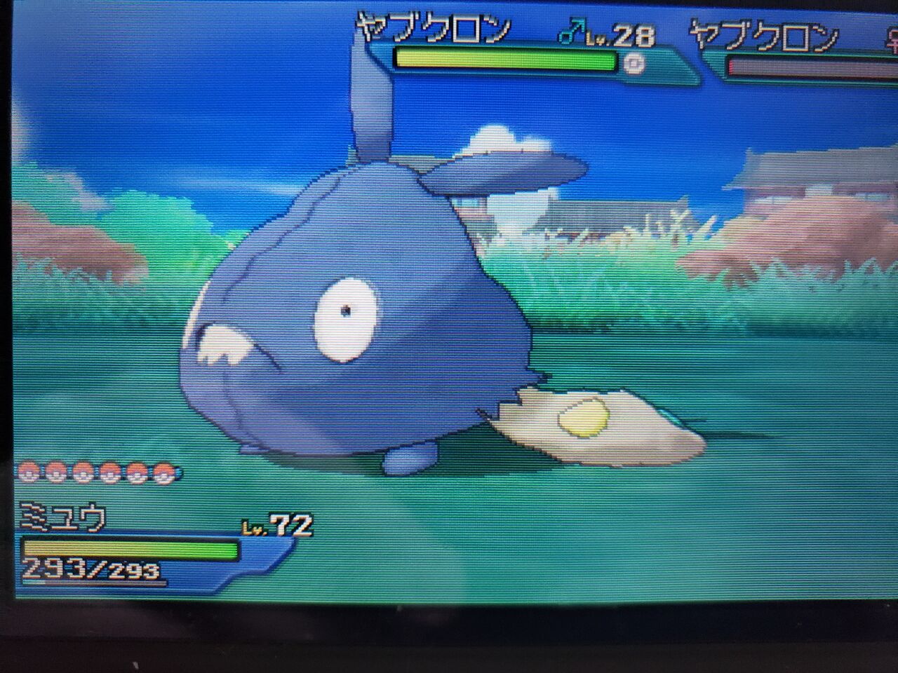ポケモン色違い日記1 ヤブクロン デッドフールの趣味部屋