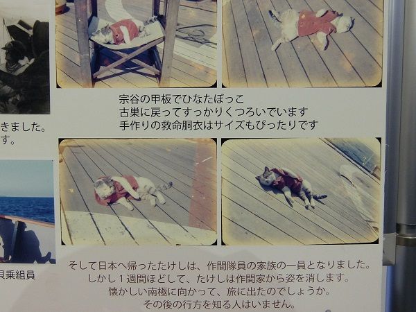 タロとジロとタケシ 旅の途上 タロとジロとタケシ 旅の途上