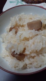 DCIM0009