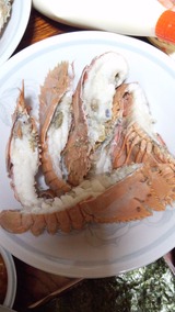 うちわ海老