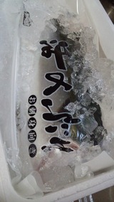 ぶり