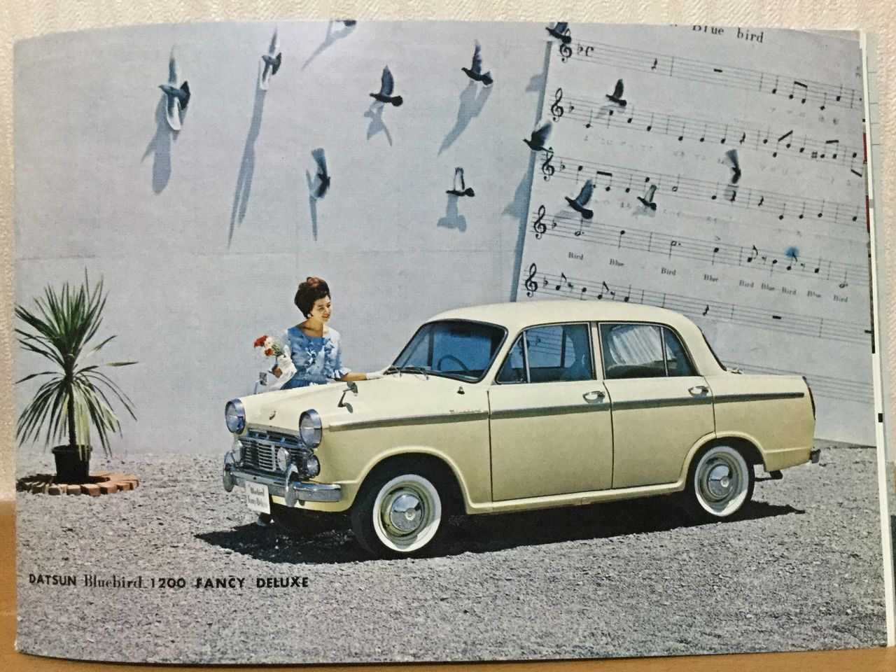 ブルーバード ファンシーデラックス ほのかの気まぐれブログ ブルーバード ファンシーデラックス ほのかの気まぐれブログ