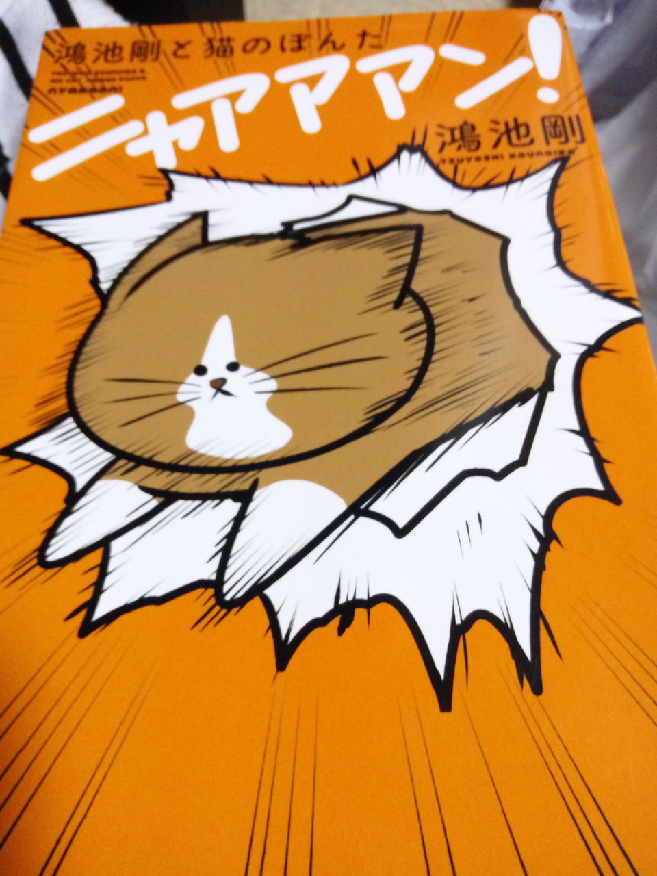 オススメコミック ニャアアアン Fwf 癒されて 可愛い動物まとめ 艸