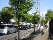 歩道通行