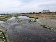 多摩川中流