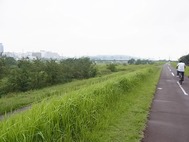 多摩川左岸
