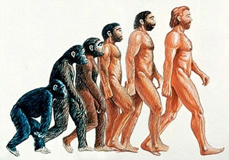人類の進化