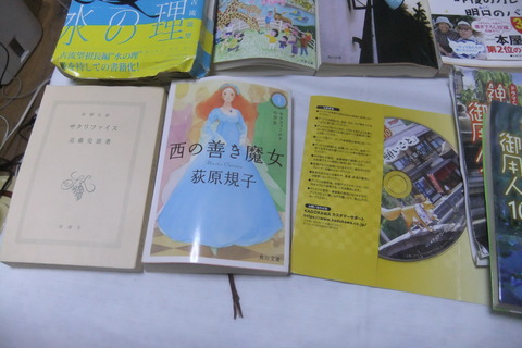 DSCF6079
