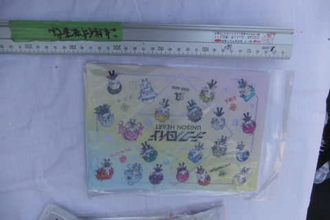 DSCF5412