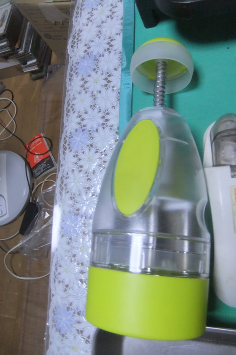 DSCF4606