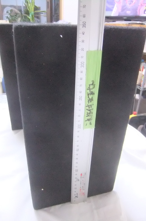 DSCF2658