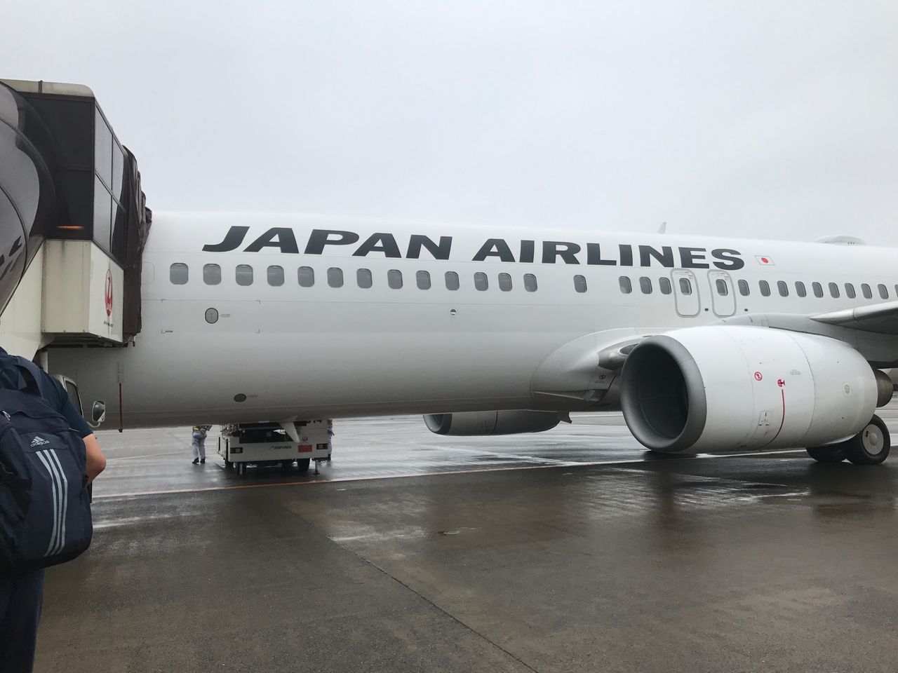 豪雨の高知へ Jal495 羽田 高知 搭乗記 Pesawatのブログ 豪雨の高知へ Jal495 羽田 高知 搭乗記 Pesawatのブログ