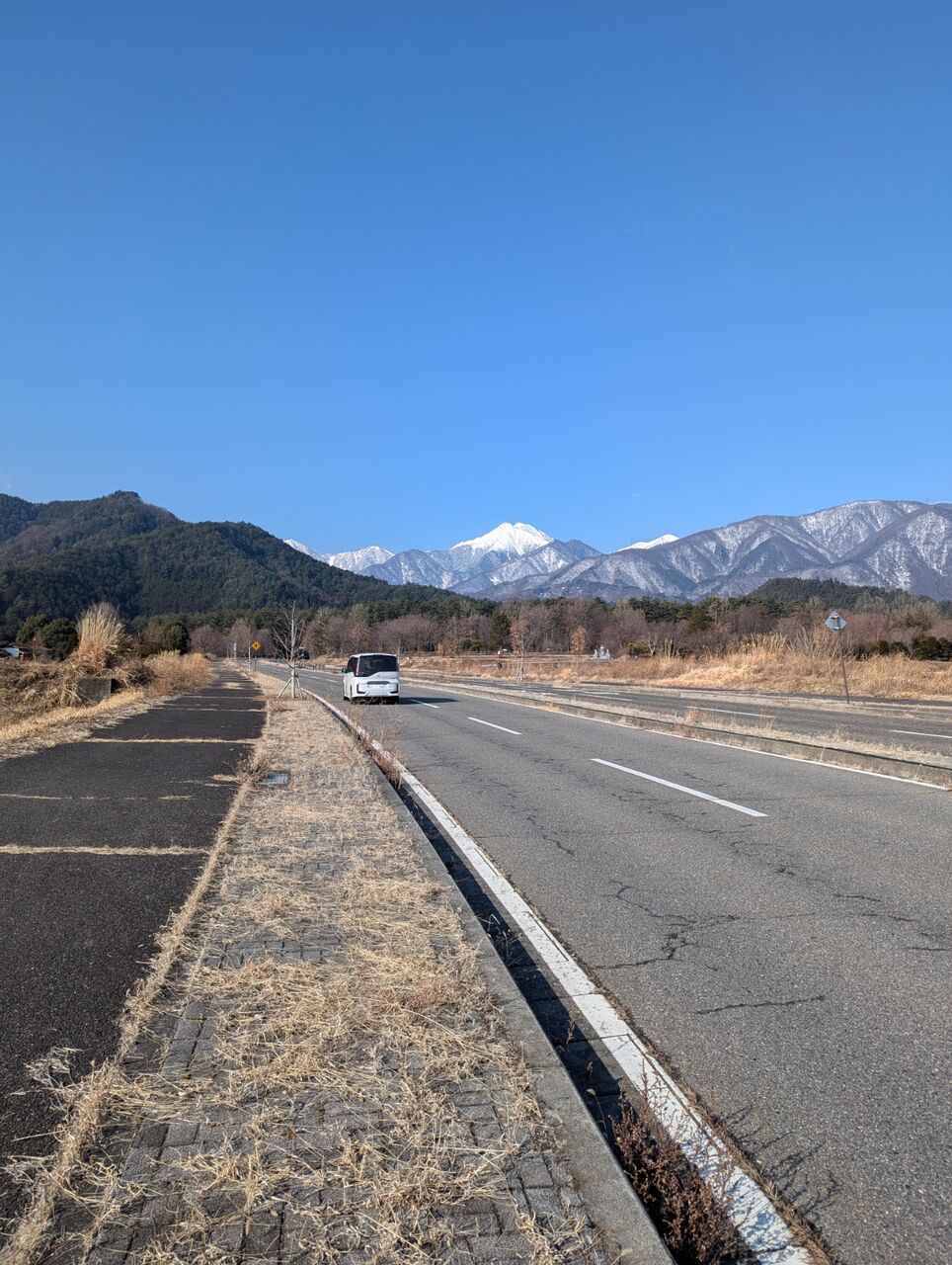 PXL_20250201_004223969